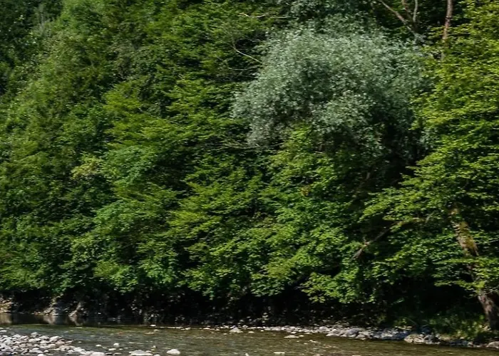 Im Nationalpark Kalkalpen 2 Apartment *