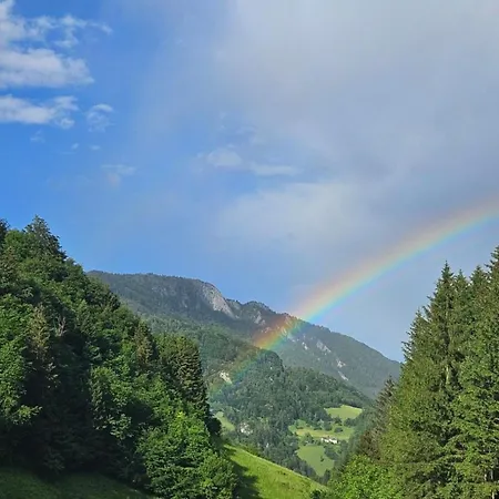 Im Nationalpark Kalkalpen 2 Апартаменты Reichraming
